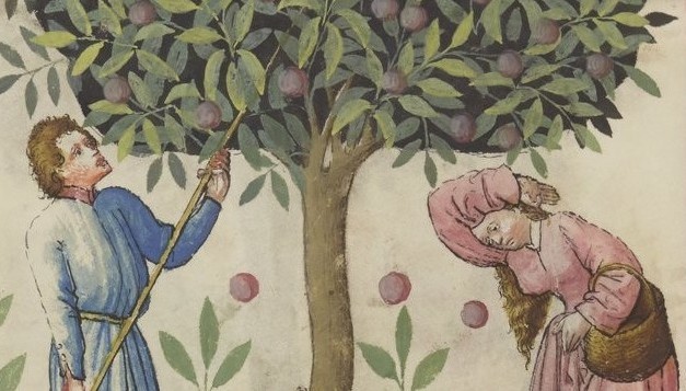 					Afficher Vol. 28 (2025): La terminologie diachronique
				